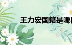 王力宏国籍是哪国（王力宏国籍）