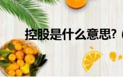 控股是什么意思?（控股是什么意思）