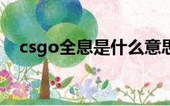 csgo全息是什么意思（全息是什么意思）