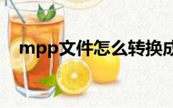 mpp文件怎么转换成excel（mmp文件）