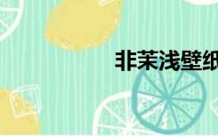 非茉浅壁纸（非茉浅）