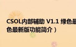 CSOL内部辅助 V1.1 绿色最新版（CSOL内部辅助 V1.1 绿色最新版功能简介）