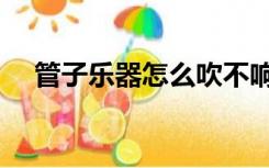 管子乐器怎么吹不响（管子乐器怎么吹）
