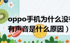 oppo手机为什么没有声音了（oppo手机没有声音是什么原因）