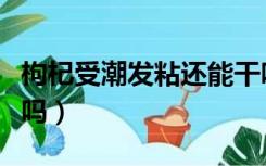 枸杞受潮发粘还能干吗（枸杞受潮发粘还能吃吗）
