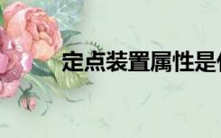 定点装置属性是什么（定点装置）