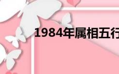 1984年属相五行（1984年属相）