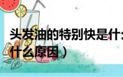 头发油的特别快是什么原因啊（头发油的快是什么原因）