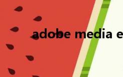 adobe media encoder正在运行
