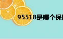 95518是哪个保险公司（95518）