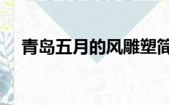 青岛五月的风雕塑简介（青岛五月的风）