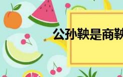 公孙鞅是商鞅吗（公孙鞅）