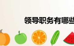 领导职务有哪些（职务有哪些）