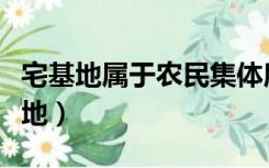 宅基地属于农民集体所有还是国家所有（宅基地）