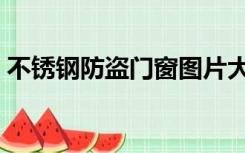 不锈钢防盗门窗图片大全（不锈钢防盗门窗）