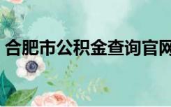 合肥市公积金查询官网（合肥市公积金查询）