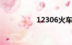 12306火车票抢票神器