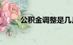 公积金调整是几月（公积金调整）