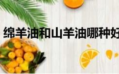 绵羊油和山羊油哪种好（绵羊油哪个牌子好）