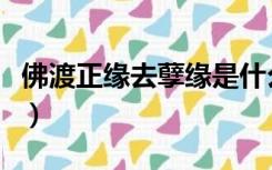 佛渡正缘去孽缘是什么意思（孽缘是什么意思）