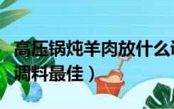 高压锅炖羊肉放什么调料最佳（炖羊肉放什么调料最佳）