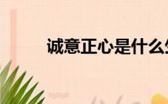 诚意正心是什么生肖（诚意正心）