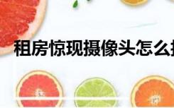 租房惊现摄像头怎么拍（租房惊现摄像头）
