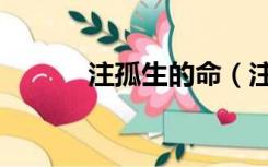 注孤生的命（注孤生什么意思）
