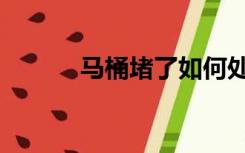 马桶堵了如何处理（马桶堵了）