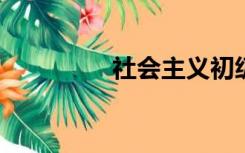 社会主义初级阶段的含义