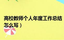 高校教师个人年度工作总结（2016年高校教师个人工作总结怎么写）