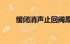 缓闭消声止回阀原理（止回阀原理）