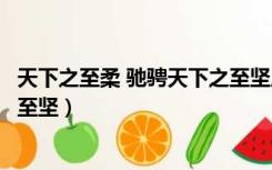 天下之至柔 驰骋天下之至坚原文（以天下之至柔驰骋天下之至坚）