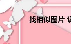 找相似图片 识别（找相似）