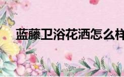 蓝藤卫浴花洒怎么样（蓝藤花洒怎么样）