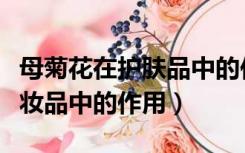 母菊花在护肤品中的作用（母菊花提取物在化妆品中的作用）