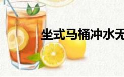 坐式马桶冲水无力（坐式马桶）