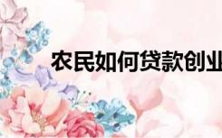农民如何贷款创业（农民如何贷款）
