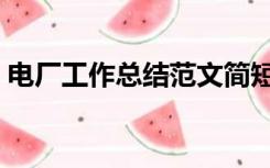 电厂工作总结范文简短（电厂工作总结范文）