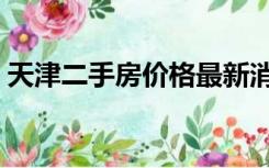 天津二手房价格最新消息（天津二手房价格）