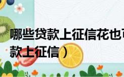 哪些贷款上征信花也可以直接下款的（哪些贷款上征信）