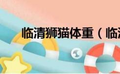 临清狮猫体重（临清狮猫多少钱一只）