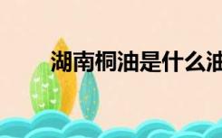 湖南桐油是什么油（桐油是什么油）