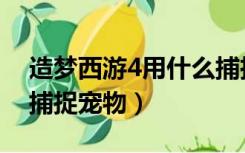 造梦西游4用什么捕捉宠物（造梦西游4怎样捕捉宠物）