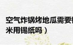 空气炸锅烤地瓜需要锡纸吗（空气炸锅烤花生米用锡纸吗）