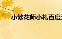 小繁花师小札百度云（小繁花师小札）