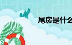 尾房是什么（尾房网）