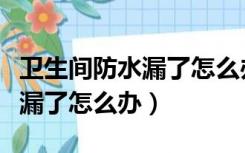 卫生间防水漏了怎么办视频教程（卫生间防水漏了怎么办）