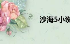 沙海5小说（沙海5）