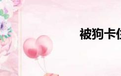 被狗卡住的感觉